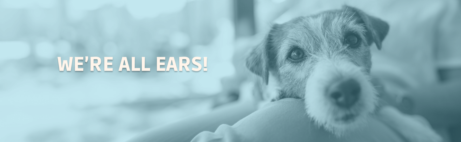 We're All Ears!